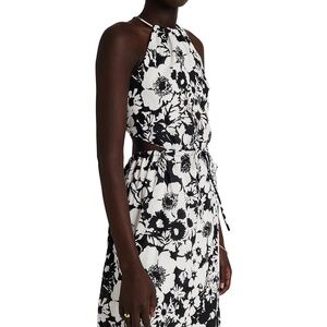 Faithful the brand piera dress